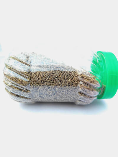 mace-jaipatri-a2masala