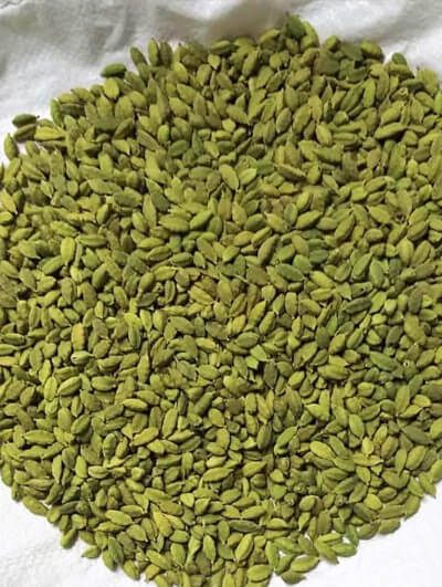 orgenic-coriander-seeds-a2masala