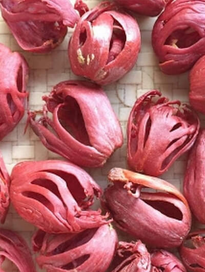 orgenic-coriander-seeds-a2masala